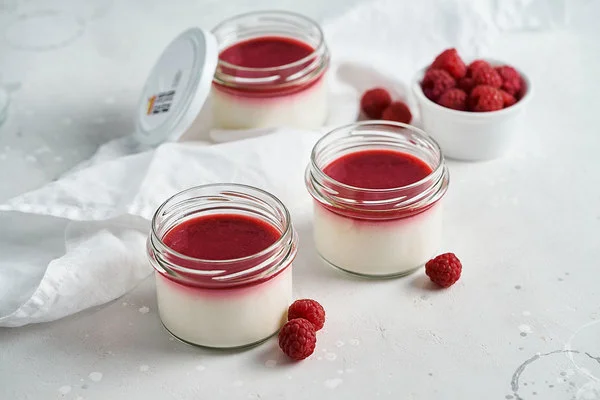 Sugar-free raspberry keto panna cotta