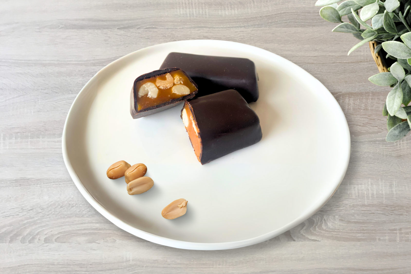 Salted Caramel Peanut Sugar Free Vegan Keto Bar